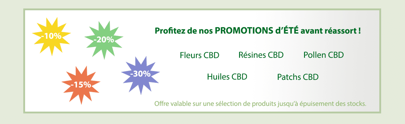 Pionnier du cannabis légal et du CBD depuis 2015 6 Pionnier du cannabis légal et du CBD depuis 2015 6