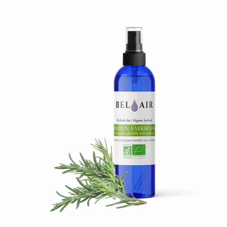 Hydrolat Eau Florale Romarin Verbénone BIO