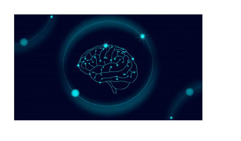 Les effets du CBD sur le cerveau 2 Les effets du CBD sur le cerveau 2