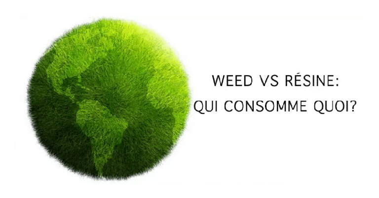 Résine vs. herbe, quel pays consomme quoi ? 6
