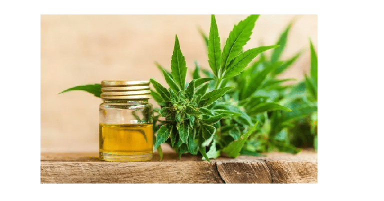 Cannabis bien-être : quels sont les bienfaits de l'huile de cbd? 1