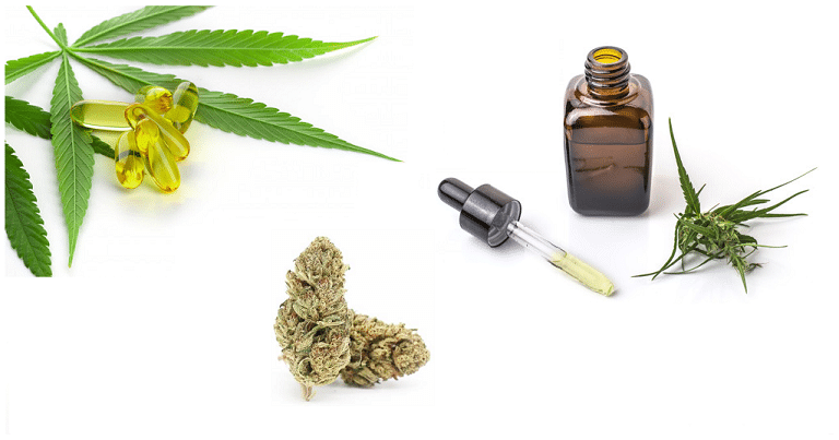 5 manières de consommer du CBD 10 Les meilleures façons de consommer du CBD