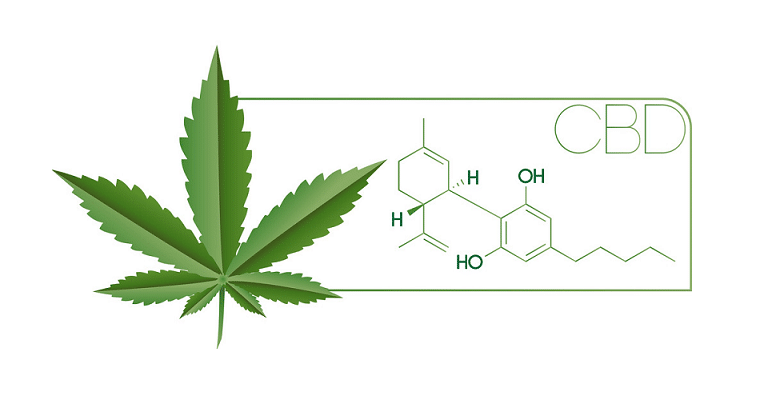 Quelle différence entre CBD et THC ? 3 Quelle différence entre CBD et THC ? 3
