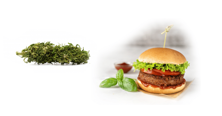 Recette du Burger aux fleurs de CBD 1 Recette du Burger aux fleurs de CBD 1