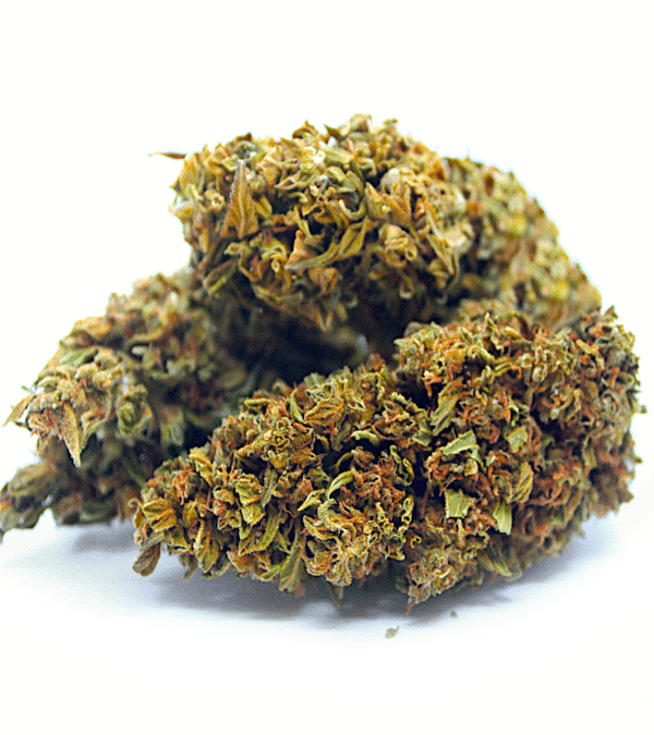 Fleurs CBD Tropicana 2