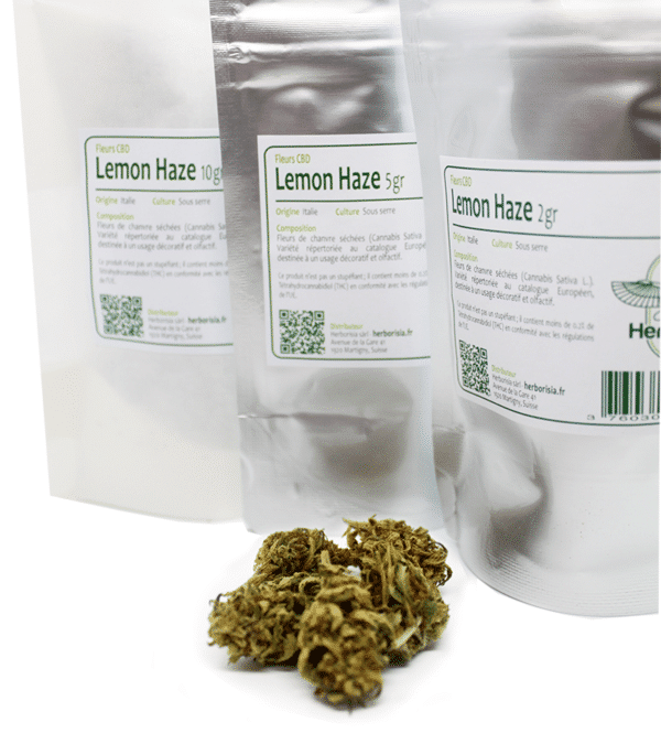 Fleurs CBD Lemon Haze 4