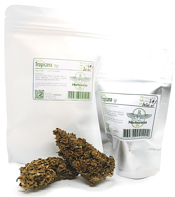 Fleurs CBD Tropicana 4
