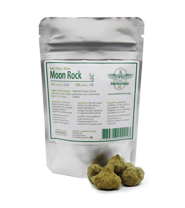 Moon Rock 2