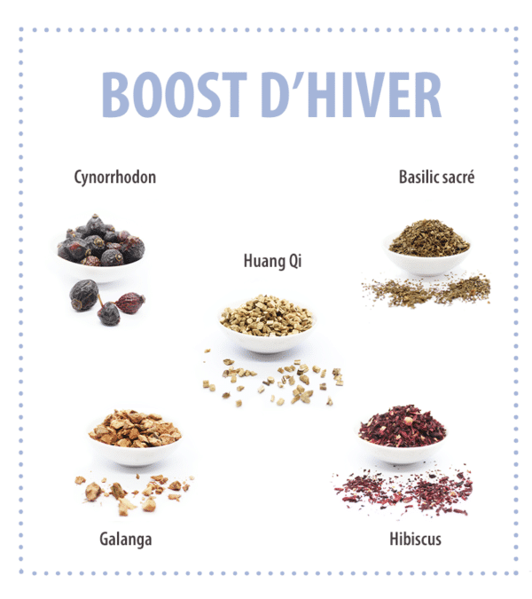 Synergie "Boost d'hiver" 1