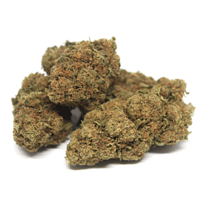 Fleur CBD Harlequin - GlassHouse | France