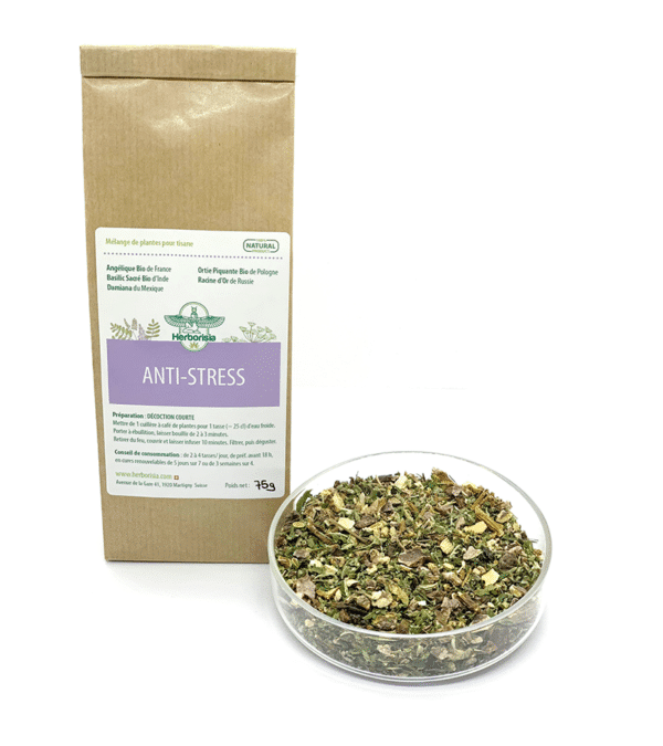 Synergie "Anti-Stress" 1