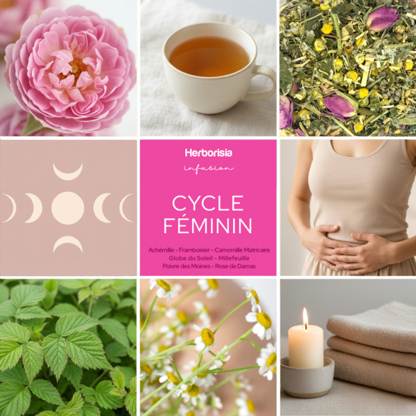 Tisane "Cycle Féminin" | Sphère hormonale