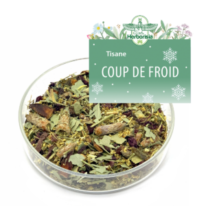 Tisane "Coup de froid"