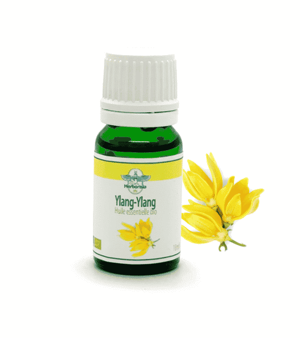 Huile Essentielle d'Ylang Ylang 1