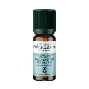 Huile Essentielle - Eucalyptus Radié | Eucalyptus Radiata BIO 10ml