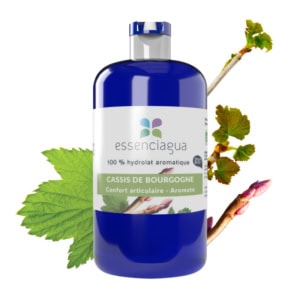 Hydrolat Cassis de Bourgogne bio - Essenciagua