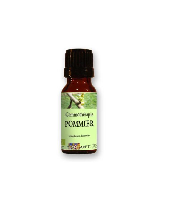 Pommier bio - Bourgeons frais - Gemmothérapie | Macérat 1