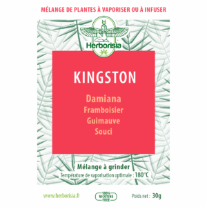 Substitut de tabac | Mélange de plantes à vaporiser 100% naturelles - “KINGSTON”