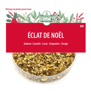 Tisane "Éclat de Noël"