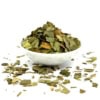 Abricotier d'argent - Ginkgo biloba | Feuilles coupées