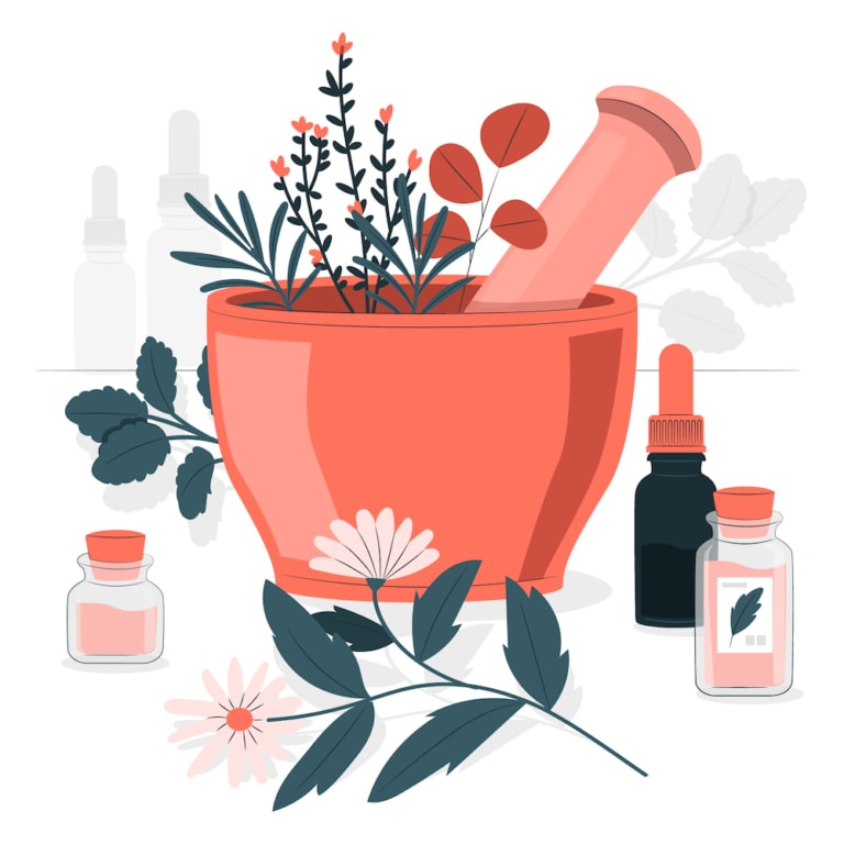 Teintures mères: guide complet et bienfaits pour votre santé 4 Teintures mères | Extraits de plantes - Tout savoir