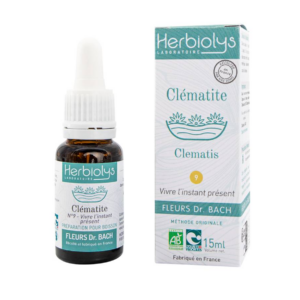 Fleur de Bach N°9 - Clématite (Clematis) BIO - 15ml