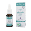Fleur de Bach N°33 - Noyer (Walnut) BIO - 15ml