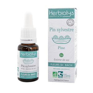 Fleur de Bach N°24 - Pin Sylvestre (Pine) BIO - 15ml