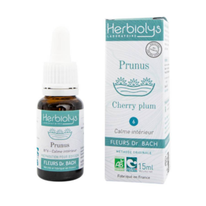 Fleur de Bach N°6 - Prunus (Cherry Plum) BIO - 15ml