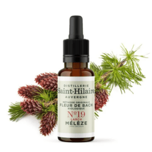 Fleur de Bach N°19 - Mélèze (Larch) BIO
