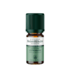 Huile Essentielle - Estragon BIO 5ml