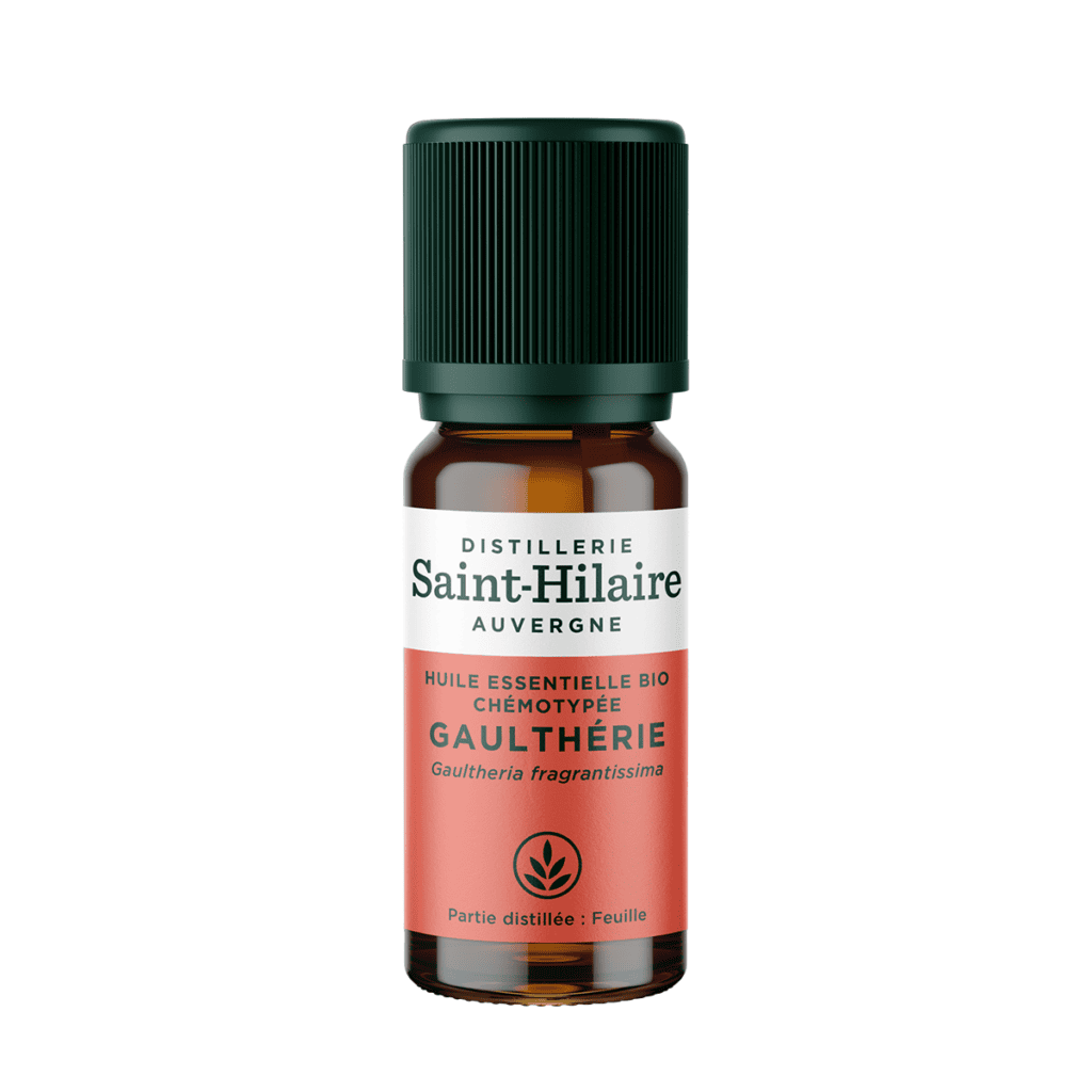 Huile Essentielle - Gaulthérie Odorante BIO 10ml