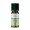 Huile Essentielle - Menthe Poivrée BIO 10ml