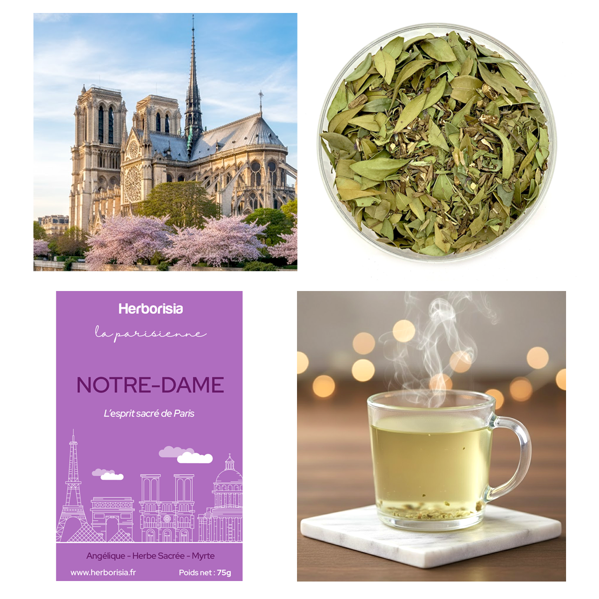 Infusion "Notre-Dame" - Collection La Parisienne 1 Infusion "Notre-Dame" - Collection La Parisienne
