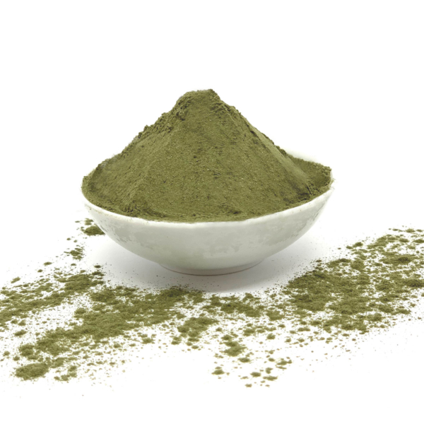 Ortie Piquante Bio - Poudre