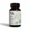 Extrait de Chaga biologique en gélule - Champignon médicinal