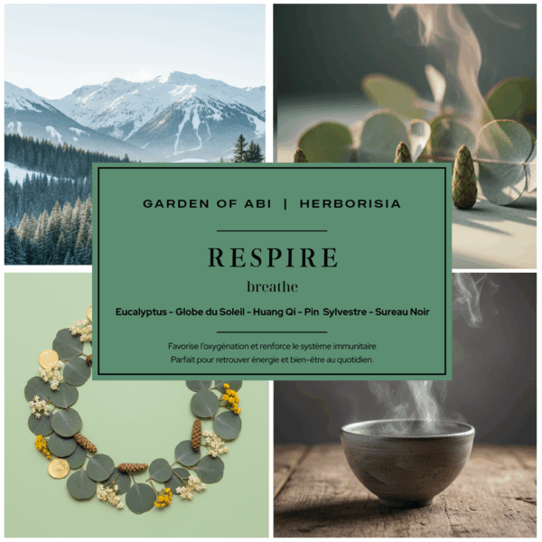 Infusion "RESPIRE" - Collection Garden Of Abi & Herborisia | Oxygénation & Immunité