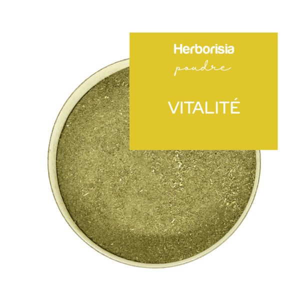 Mélange de plantes en poudre - VITALITÉ