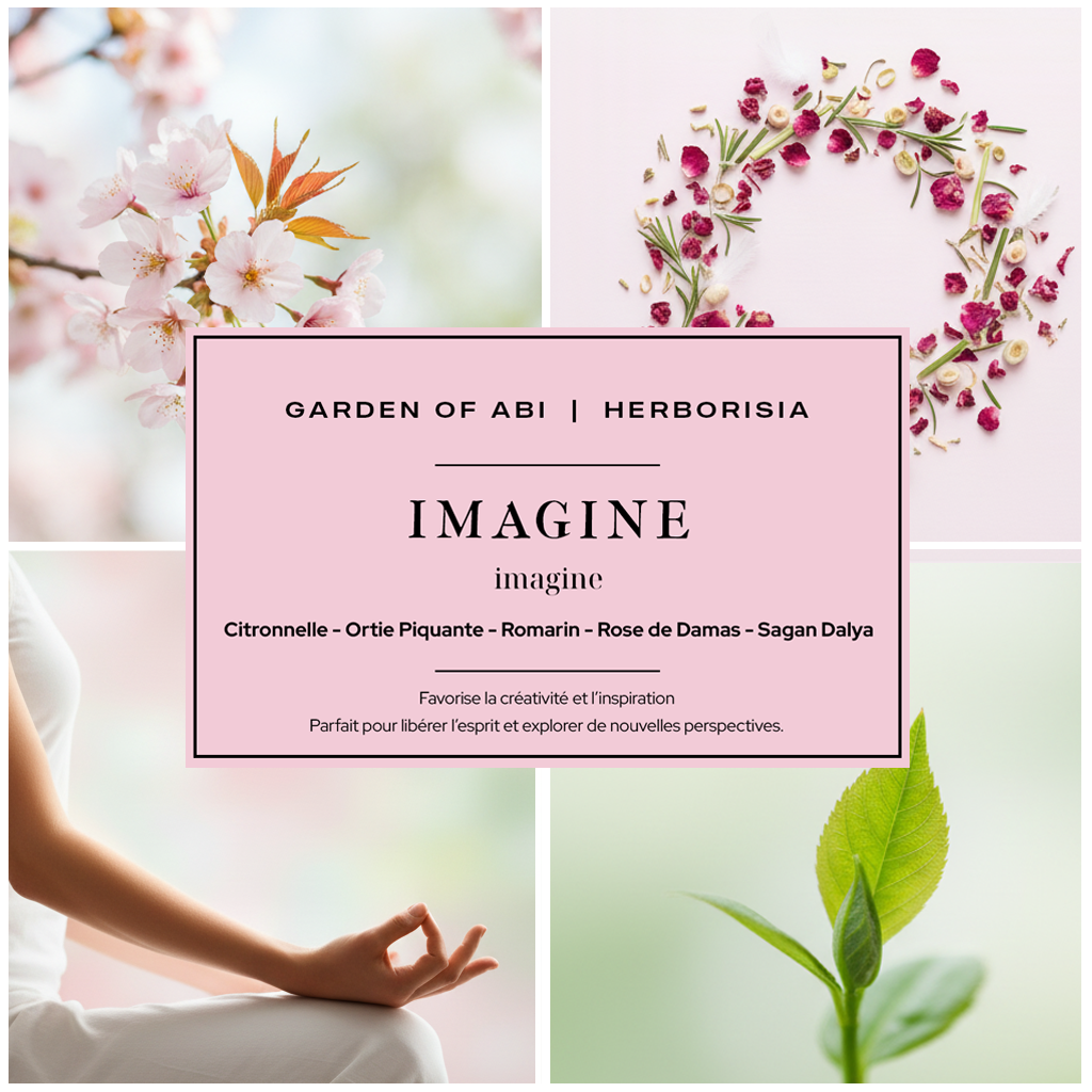 Infusion "IMAGINE" - Collection Garden Of Abi & Herborisia | Créativité & Inspiration 1 Infusion "IMAGINE" - Collection Garden Of Abi & Herborisia | Créativité & Inspiration