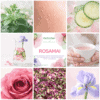 Infusion "Rosamai" | Création Originale autour de la Rose