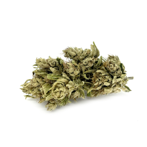 Fleur CBG Matterhorne - Greenhouse | Cultivée en France 🇫🇷
