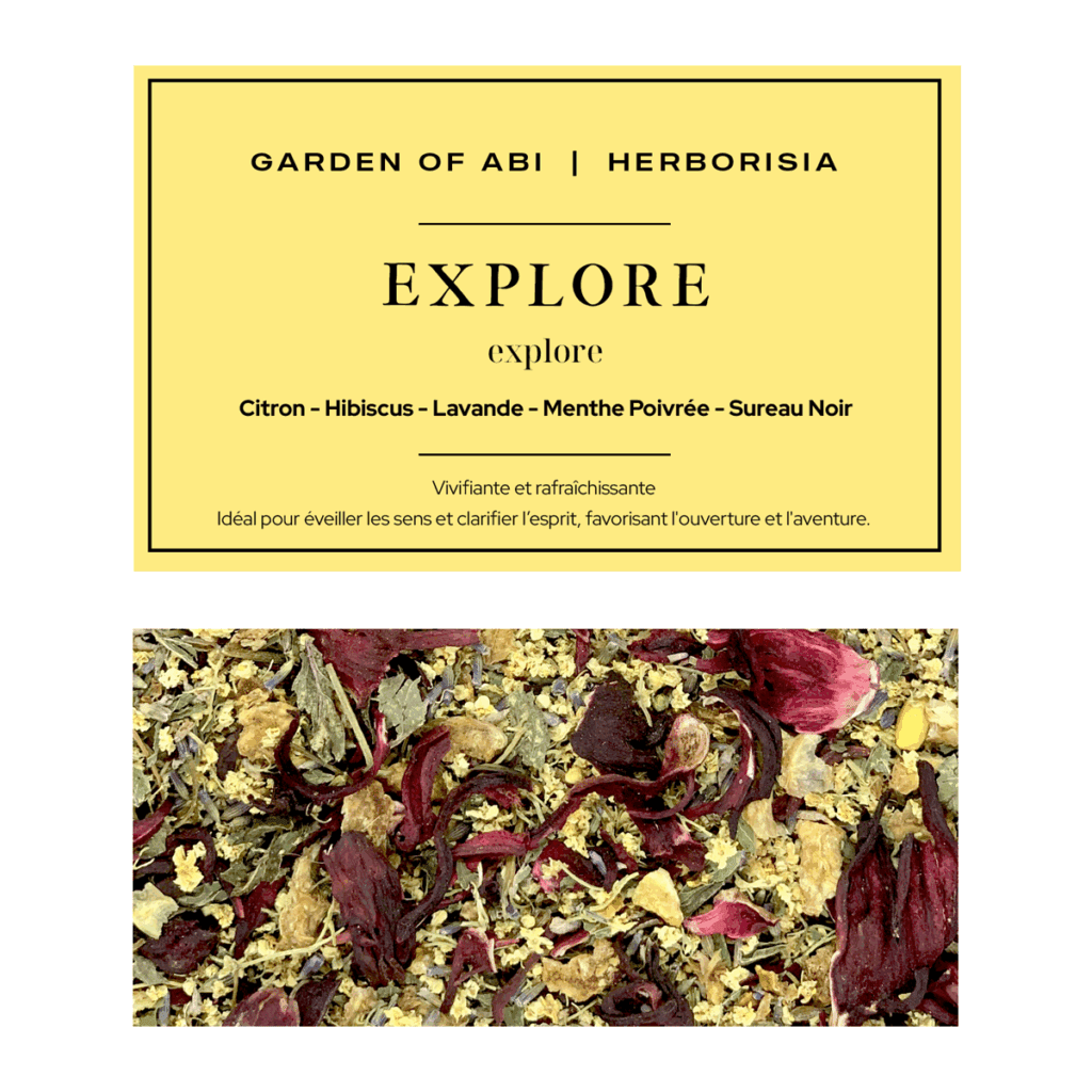 Infusion "EXPLORE" - Collection Garden Of Abi & Herborisia | Vivifiant & Raffraîchissant