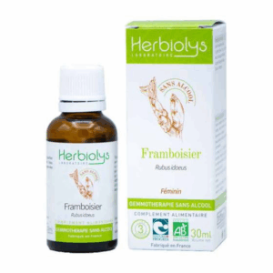 Framboisier BIO – Bourgeons frais – Gemmothérapie sans alcool