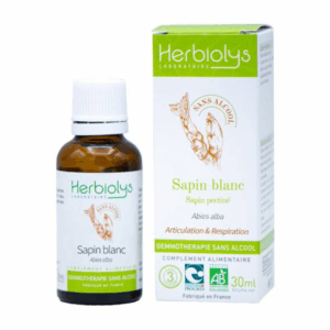 Sapin Blanc BIO – Bourgeons frais – Gemmothérapie sans alcool