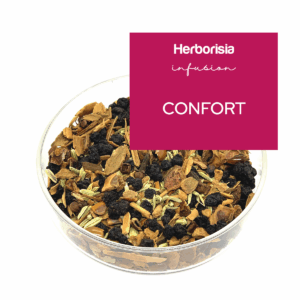 Tisane "Confort" | Puissance épicée & Bien-être digestif