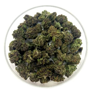 Nouvelle réglementation sur les Cannabinoïdes en France - Interdiction du H4CBD 2 Mini Fleur CBD Dark Devil – Small buds | Cultivée en France