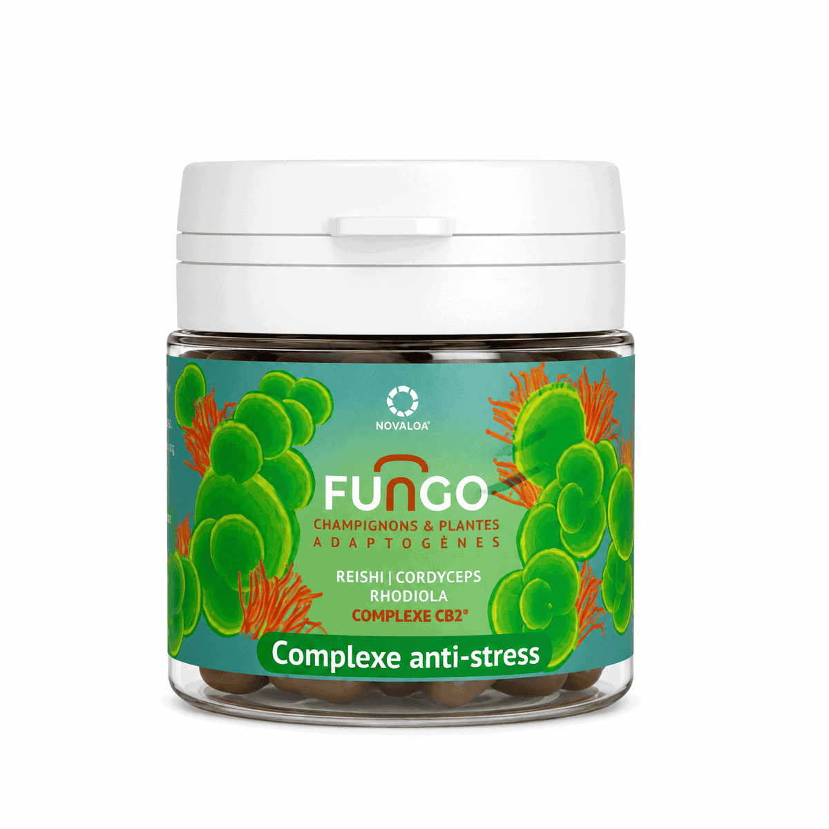 Gélules Anti-Stress | Complexe CB2 | Reishi, Cordyceps & Rhidiola - Champignons et plantes adaptogènes 1 Gélules Anti-Stress | Complexe CB2 | Reishi, Cordyceps & Rhidiola - Champignons et plantes adaptogènes