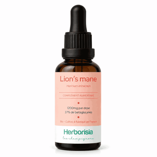 Lion's mane bio Herborisia | Extrait champignon liquide | 30ml Lion's mane bio Herborisia | Extrait champignon liquide | 30ml