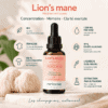 Lion's mane bio Herborisia | Extrait champignon liquide | 30ml Lion's mane bio Herborisia | Extrait champignon liquide | 30ml