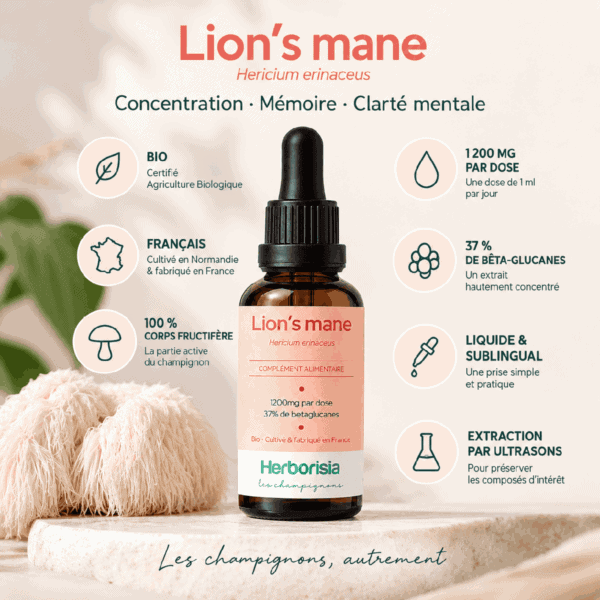 Lion's mane bio Herborisia | Extrait champignon liquide | 30ml Lion's mane bio Herborisia | Extrait champignon liquide | 30ml